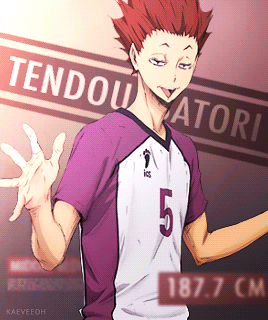 Haikyuu!! | Shiratorizawa Academy Volleyball Team