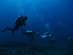 lifeunderthewaves:  Into the Blue Corner on Flickr.Via Flickr: Blue Corner, Nusa Lembongan - Bali