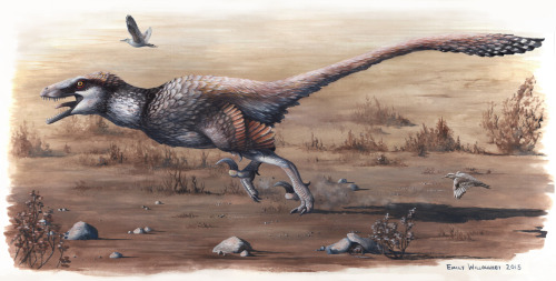 ewilloughby:After months of eager waiting I can finally share this… meet Dakotaraptor, the giant d