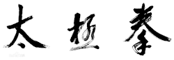 feiyueshoesusa:  太极拳 Tai Chi Chuan