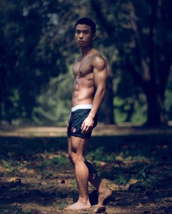 asian-men-x: