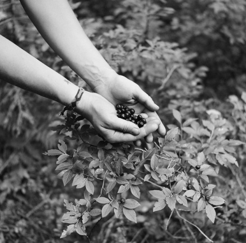 Upper Priest Lake, ID2017Full photo essay live on The Field Mag now.Photo 5/6 by Theresa Carlson
