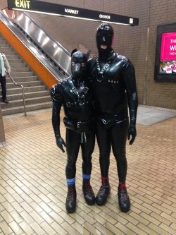 cyclespup:  Rubberpups aren’t allowed to drive….so we take the SFMuni.  Taken at Up Your Alley Fair, late July 2013. I’m the beagle on the left, roukipup on the right 