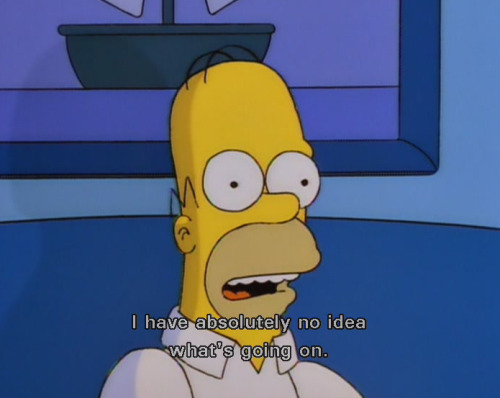 ryanhatesthis:  i will reblog this over and over again until it is the only thing on my blog.  well said homer lol XD