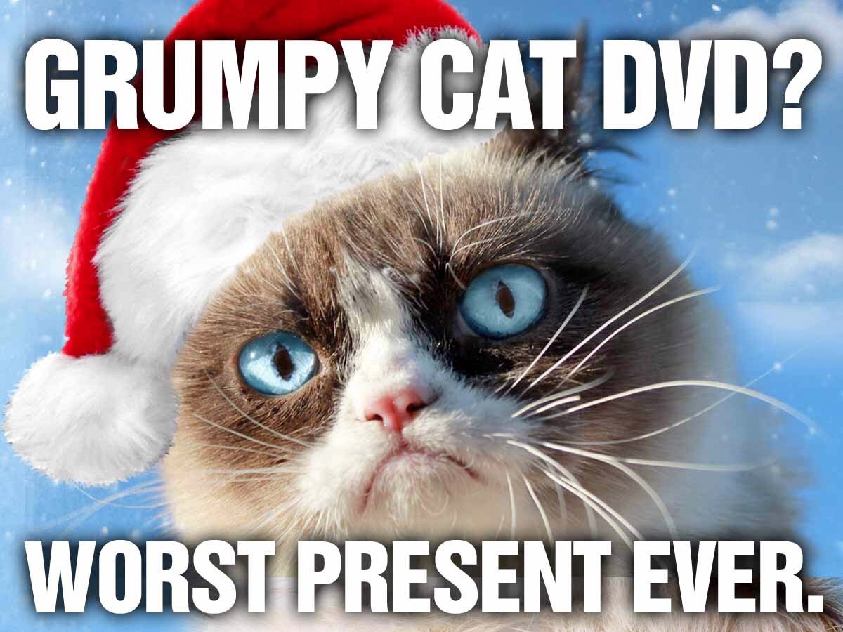 Grumpy Cat's Worst Christmas Ever out TODAY on DVD! The purr-fect gift for all your enemies! https://amzn.to/1vPLrx5
