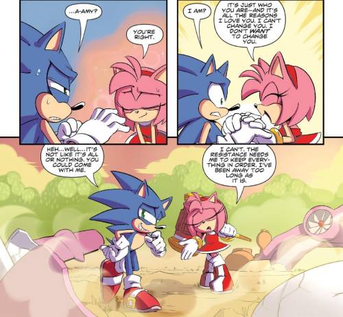 I’m Going To Make This Post As An Intro To Sonic Characters For People Who Don’t Know Them. For Fun.