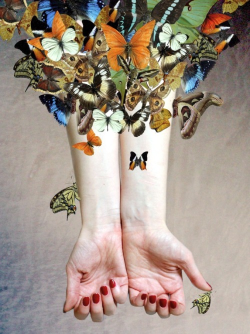 martinekenblog:&ldquo;The Butterfly Project (2)&rdquo; by Kate Powell Art