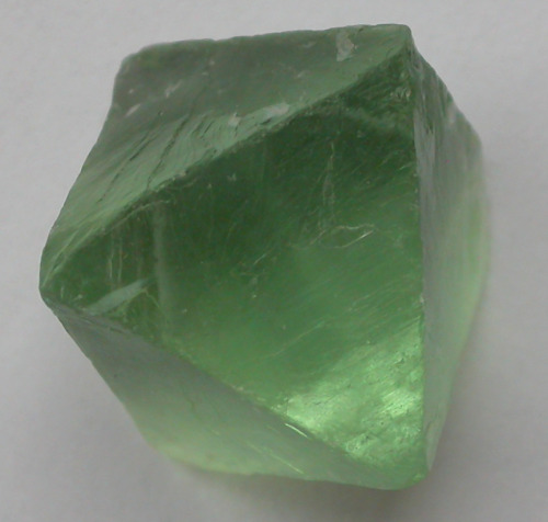 fuckyeahmineralogy:The many color variations of Fluorite. Pure fluorite is actually colorless; its i