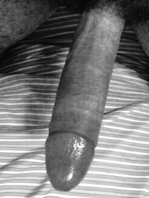 Sex jackryan1123:  My cock in without color! pictures