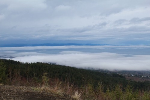 Nice little ride today in the foothills , explored a couple trails we haven’t taken before and discovered someone somehow got a picnic table up there