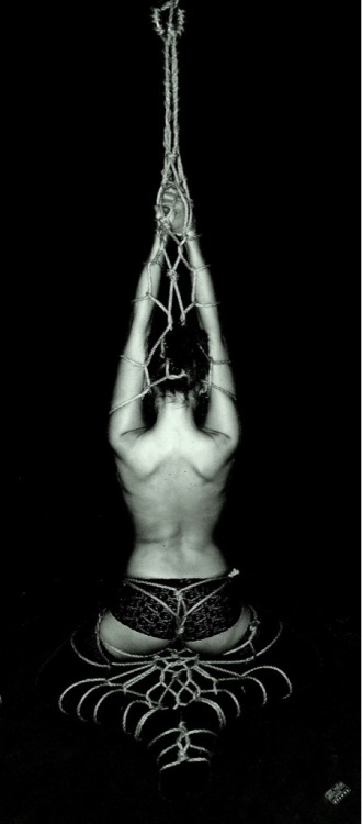 Tie me up, tie me down