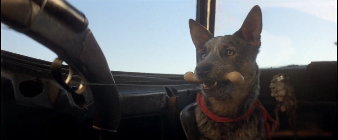 snapshot-cinema:  Mad Max 2 AKA The Road Warrior (1981) Dir: George Miller DOP: Dean