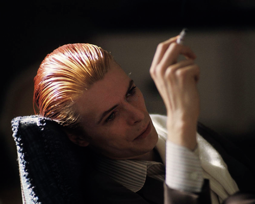 geminiscene:david bowie, 1976.