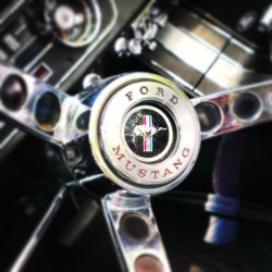 Ser-Will:  #Ford #Mustang