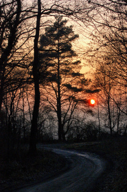 senerii:  Wintersonne by surfingstarfish on Flickr.