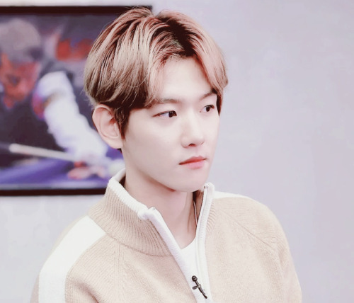 baekkie