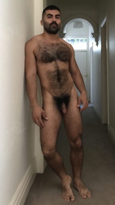 Matiou: Manlybush:  My Obsession Level With This Guys Forest Of Natural Pubic Hair