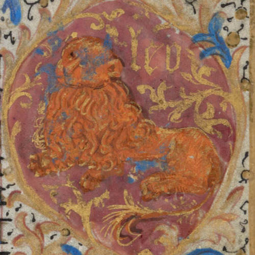 sexycodicology: Zodiac sign of LEO in a 15th century manuscript by Virtual Manuscript Library of Swi