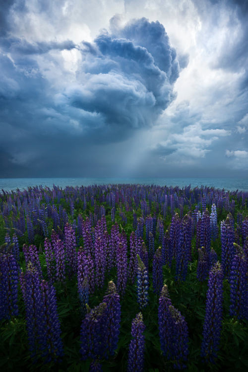 enchanting-landscapes - TempestbyWilliam Patino