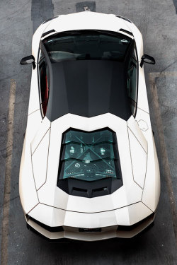 fullthrottleauto:  Lamborghini Aventador