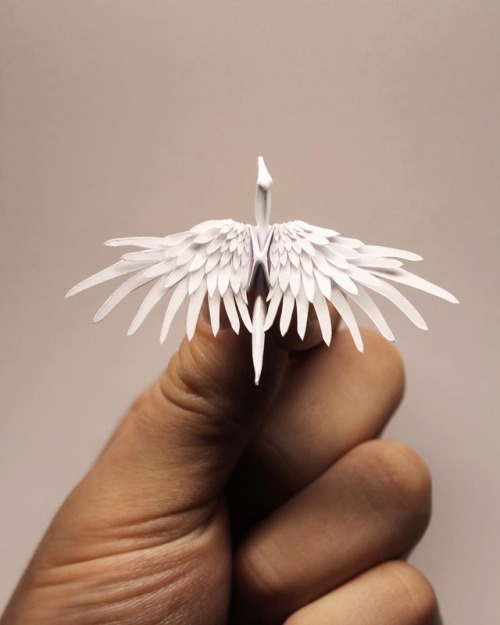 thedesigndome: Exotic Origami Cranes by Cristian Marianciuc Cristian Marianciuc transforms mere piec