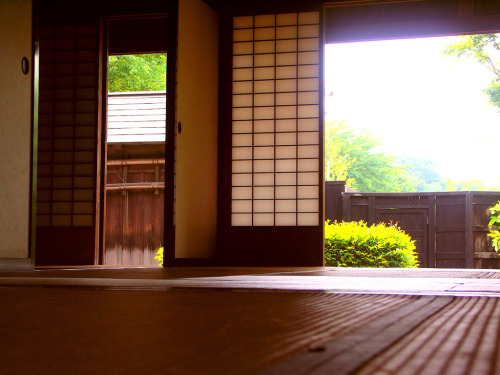 Japanese traditional houses 