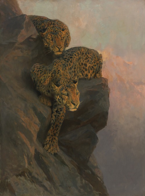 artistsanimals:  Title: Leopards on the LookoutArtist: Arthur WardleMedium: oil on canvasSize: 40 3/8  by 30 ¼  in.Source: Sotheby’s 