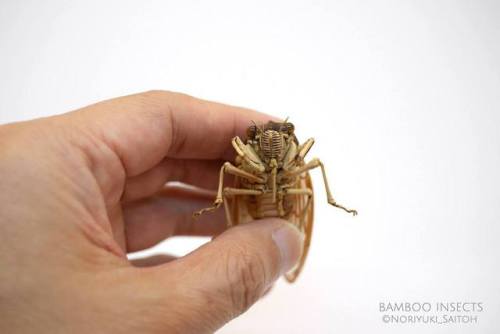 Bamboo Insect Sculptures Brought to Life by Noriyuki SaitohNoriyuki Saitoh stays true to his Japanes
