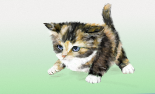 marauderfan: one concentrated kitten is learning how to walk :-) 