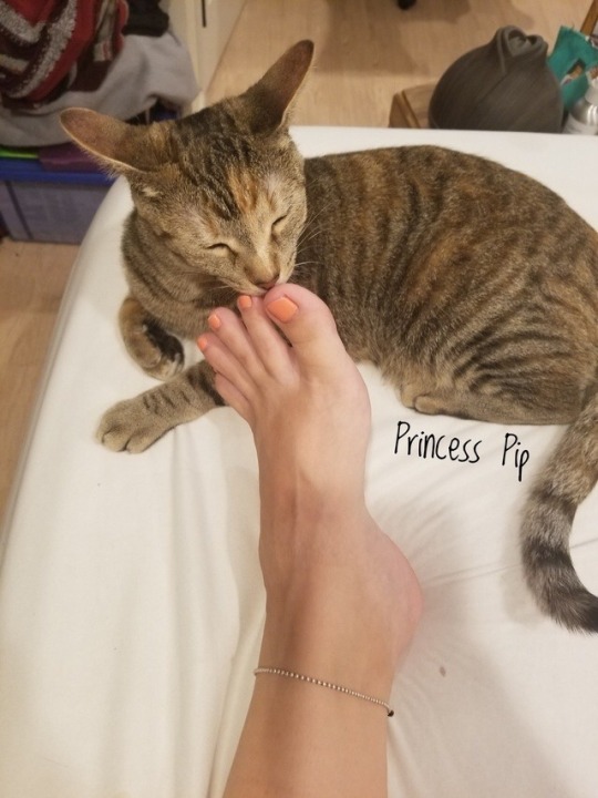 solecityusa:  In appreciation of female feet, arches, toes and soles - http://solecityusa.tumblr.com/