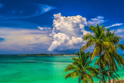 The Bahamas