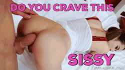 pimpmysissy:  To all sissys! Get pimped for free! 💯 dedication to find you a alpha!Alphas contact me to fuck one of these slutty sissy’s! 