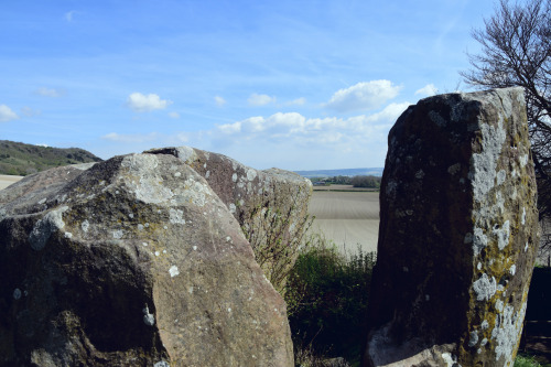 Coldrum Longbarrow- Kent UK