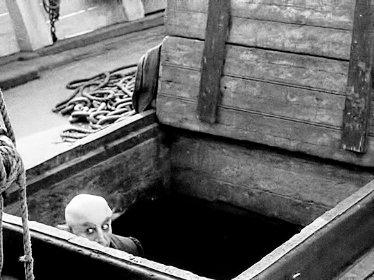 dessinnoir:  Nosferatu (1922)   Looky Loo, a Late Night Lurker&hellip;