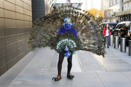 Porn photo humansofnewyork:    “I came all the way