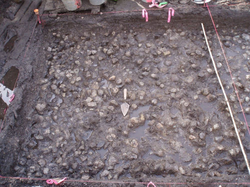 fuckyeaharchaeology: Ancient Underwater Potato Garden Uncovered in Canada Hundreds of blackened pota