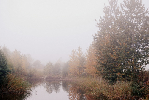 fog by anna.chara on Flickr.