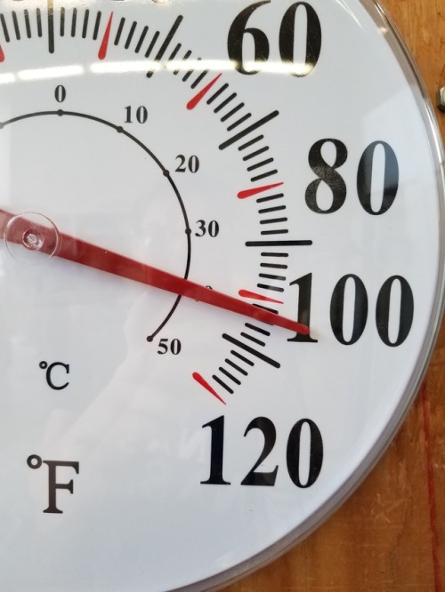 Psht&hellip; no, it&rsquo;s not hot in the hotshop.