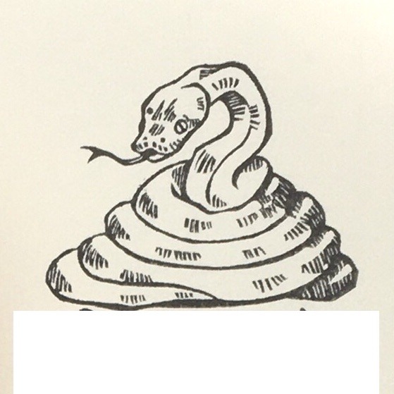 蛇 Explore Tumblr Posts And Blogs Tumgir