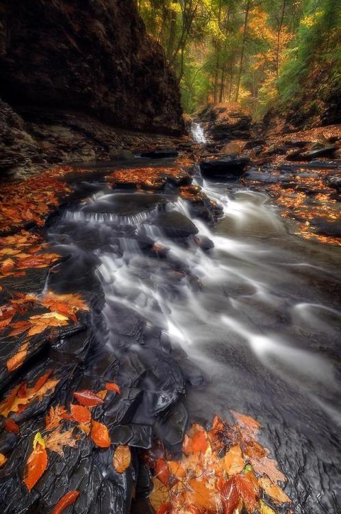 amazinglybeautifulphotography:Bridal Veil porn pictures