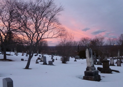 The weather was warm yesterday so I went to the cemetery and made a snow tombstone, which really doe