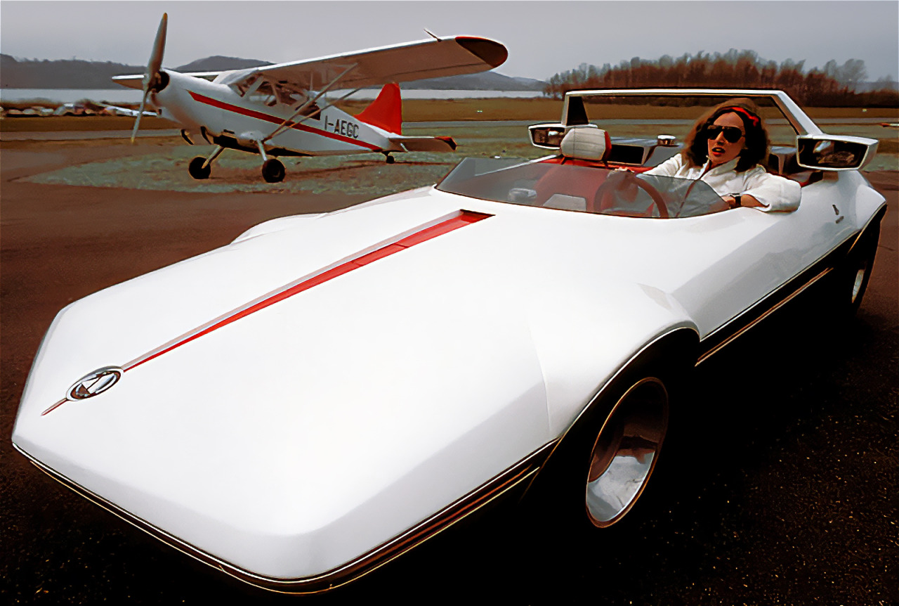 carsthatnevermadeitetc:All I want for Christmas: Part 6 – Autobianchi A112 Runabout,