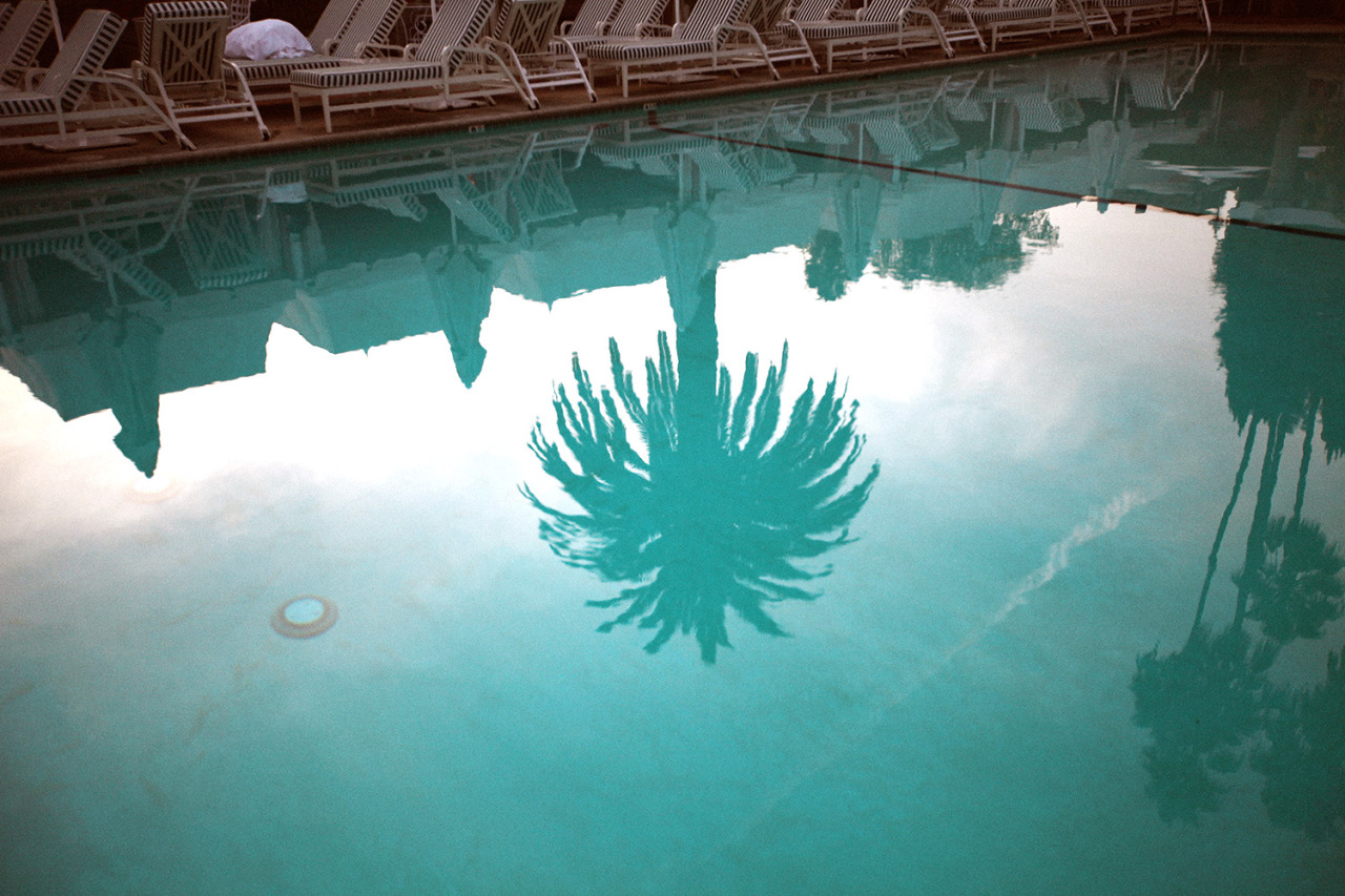 Reflection, Hawaiian Coconut.