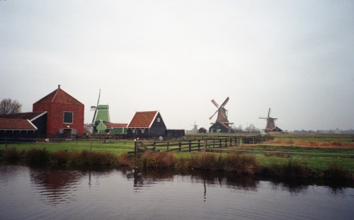 At Zaanse Schans. 風車の残る歴史村、ザーンセスカンスにて。