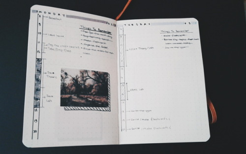 whateverthesoupisgettingcold:    100 intentional things: day oneHello beautiful people. Today I wanted to share my new a6 bujo setup. I have a future log - inspired by @gloomy-collects -, a semester tracker - inspired by @maryplethora - , a monthly and