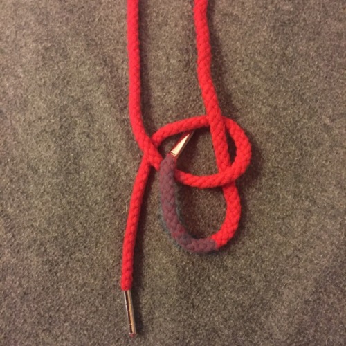 prettyperversion: prettyperversion: How to tie a box knot. I made certain parts gray so you can pay 