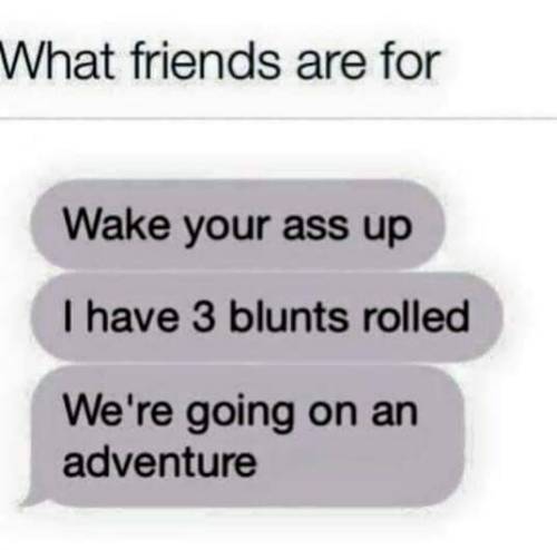 http://blowmelikekushhh.tumblr.com/post/129263708684
