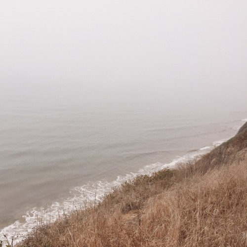 koahlakid: foggy morning in santa barbara