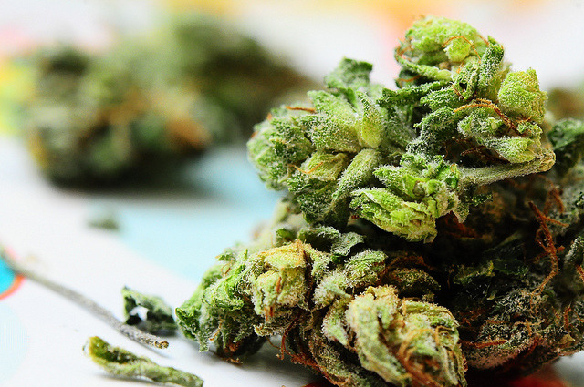 legalizethecannabis:    Time to legalize cannabis   