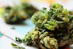 legalizethecannabis:    Time to legalize